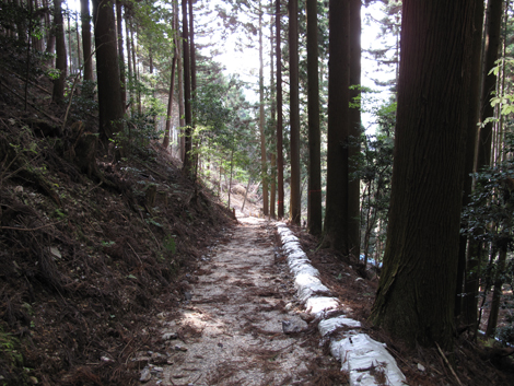 20131124hike (416)